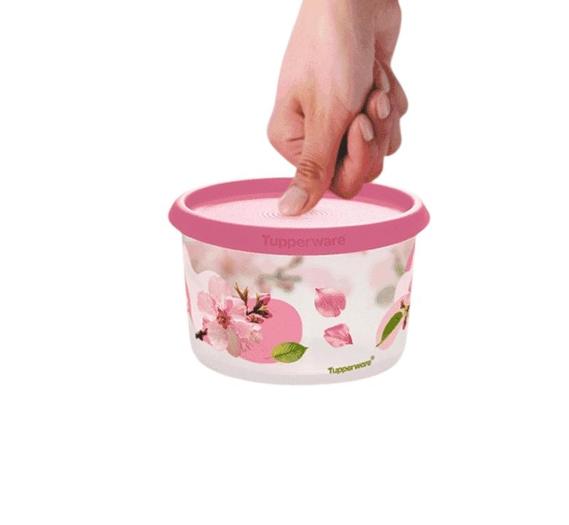 Tupperware Mini Instantânea 575ml - Pote - Magazine Luiza